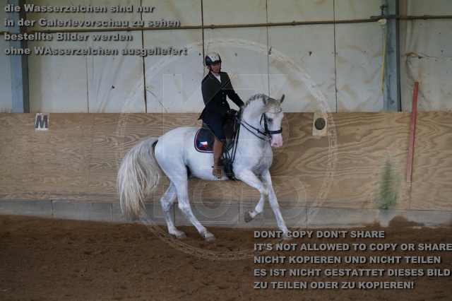 s_K3F03702.JPG